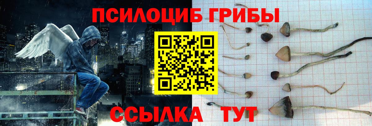 Рославль  Галлюциногенные грибы мицелий  закладка  Вход с VPN 