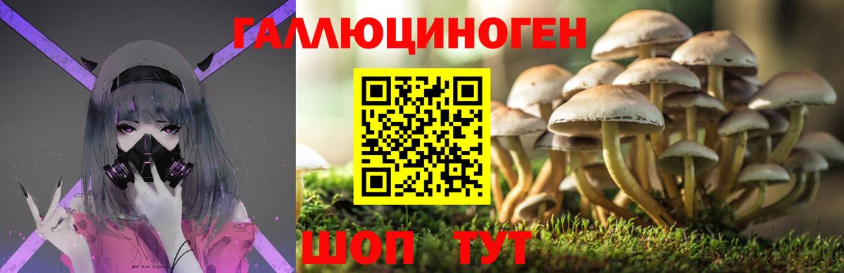 Галлюциногенные грибы Cubensis Рославль